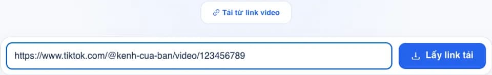 Minh họa dán link video TikTok vào công cụ BumX trước khi lấy liên kết tải